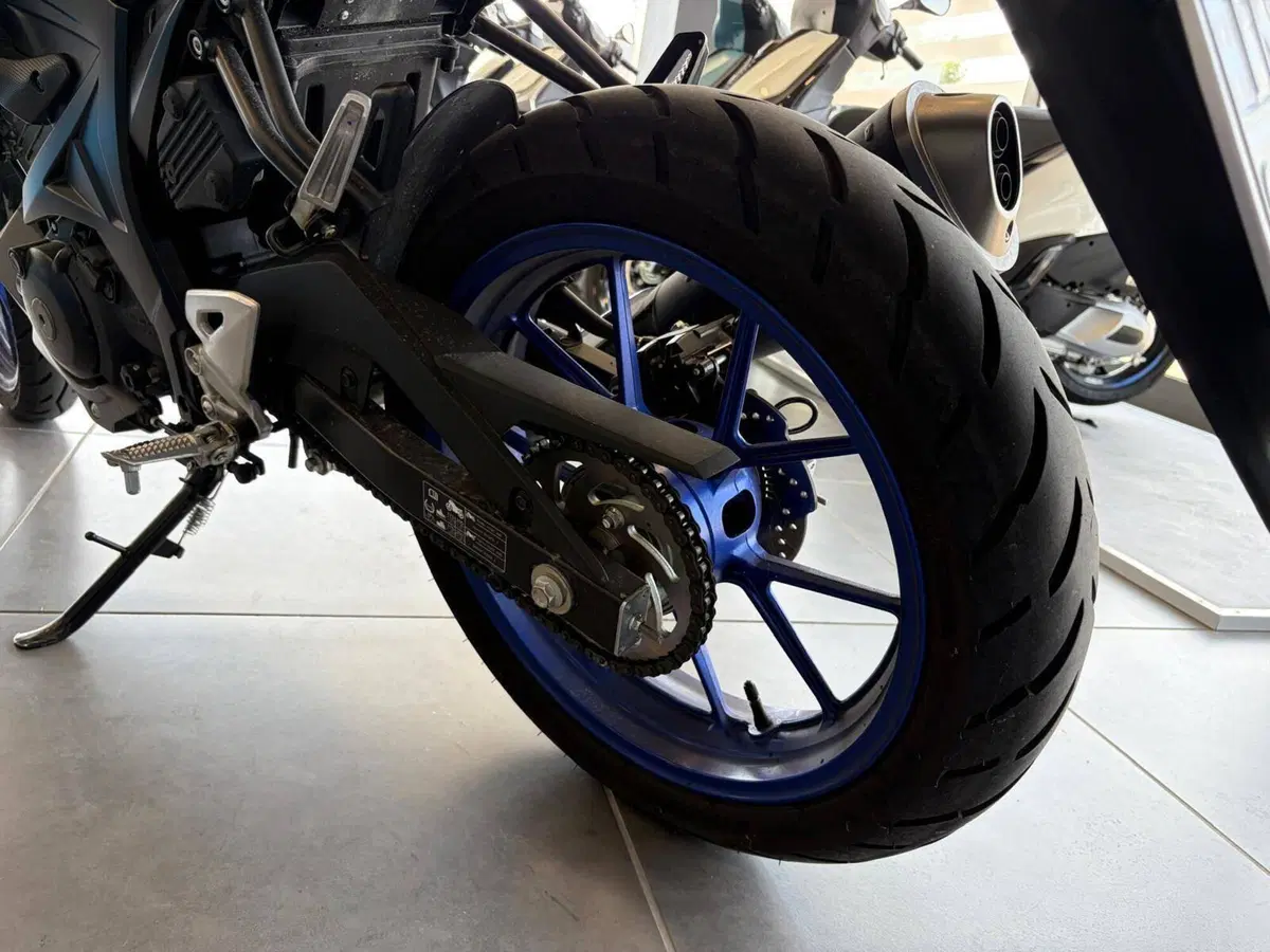 Suzuki GSX-S125 (2022 - 24) (12)
