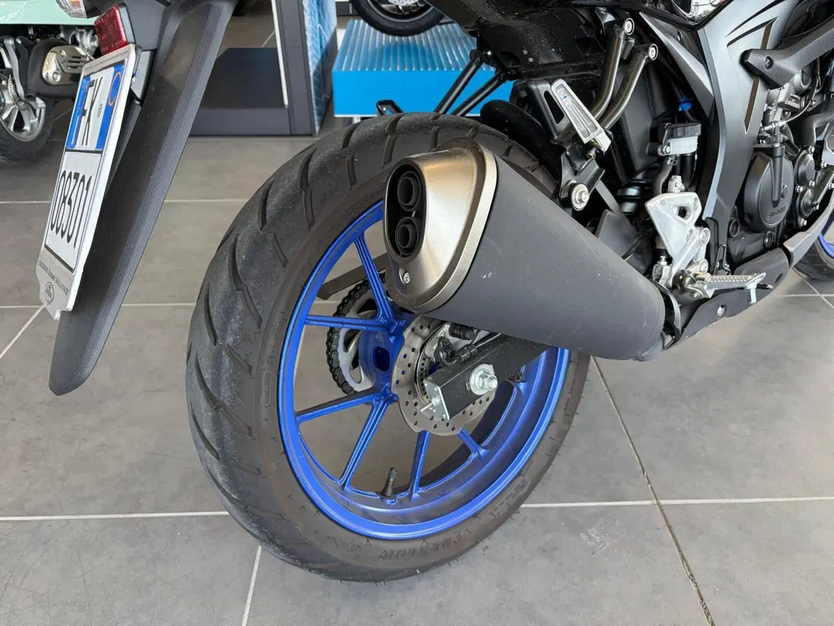 Suzuki GSX-S125 (2022 - 24) (13)
