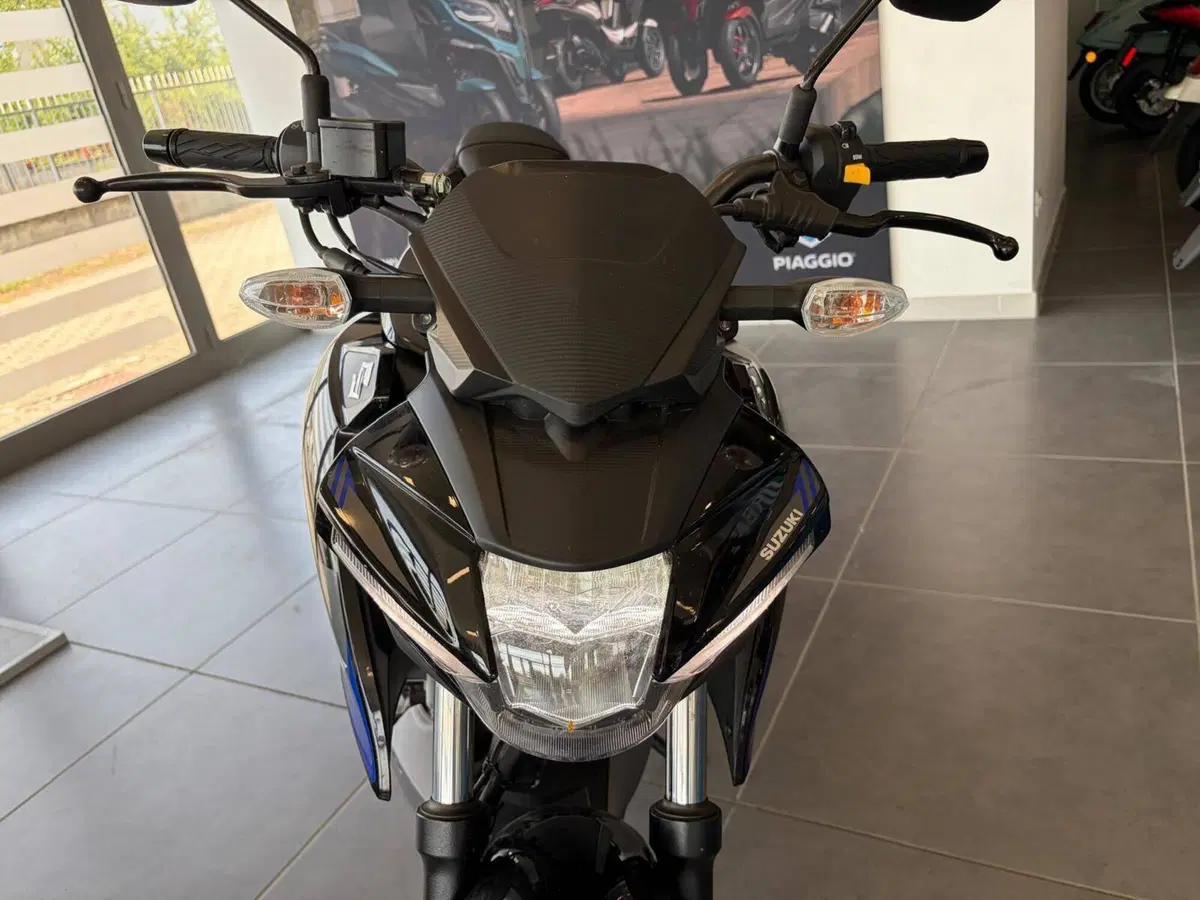 Suzuki GSX-S125 (2022 - 24) (15)