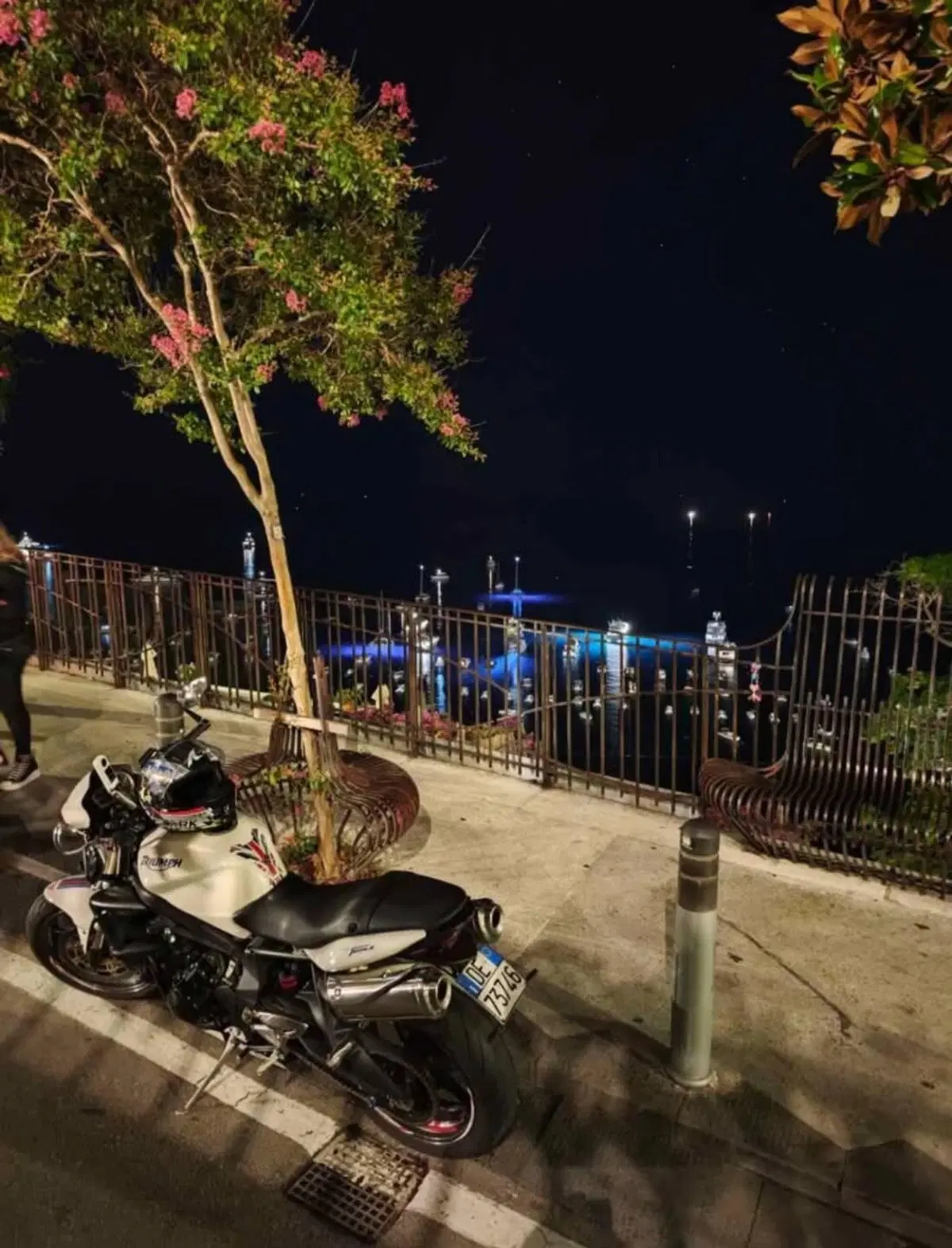 Triumph Street Triple (2007 - 12) (7)