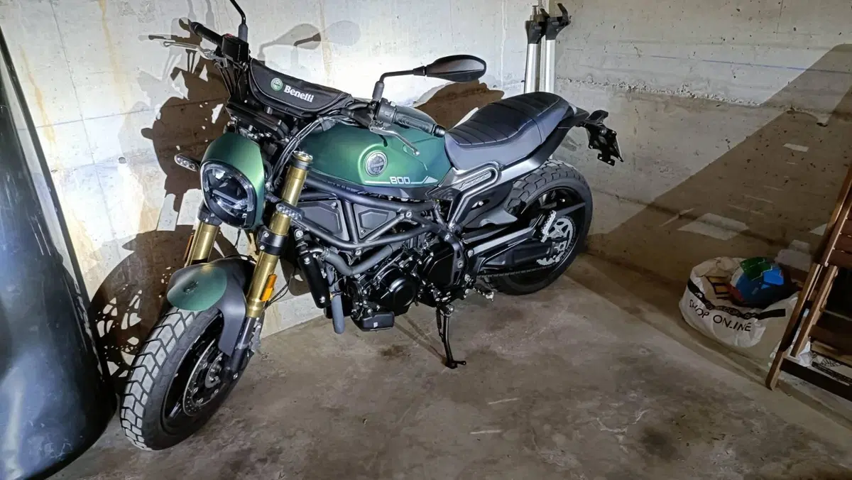 Benelli Leoncino 800 (2022 - 26)