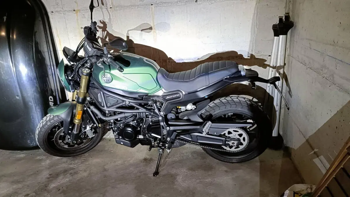 Benelli Leoncino 800 (2022 - 26) (2)