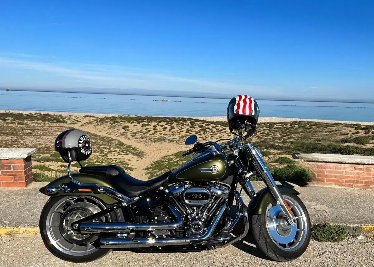 Harley-Davidson Fat Boy 114 (2021 - 24) (3)