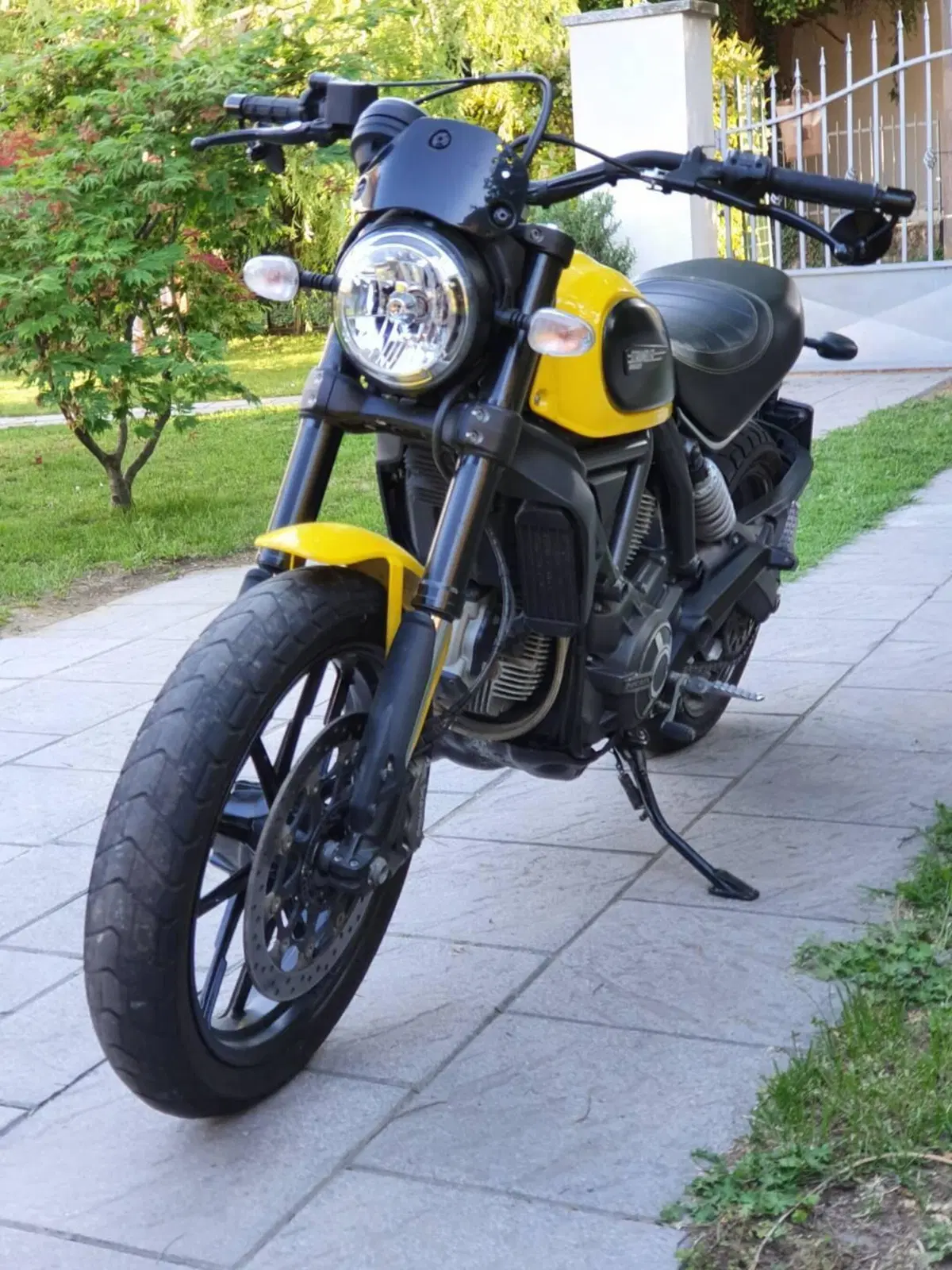 Ducati Scrambler 800 Icon (2015 - 16) (3)