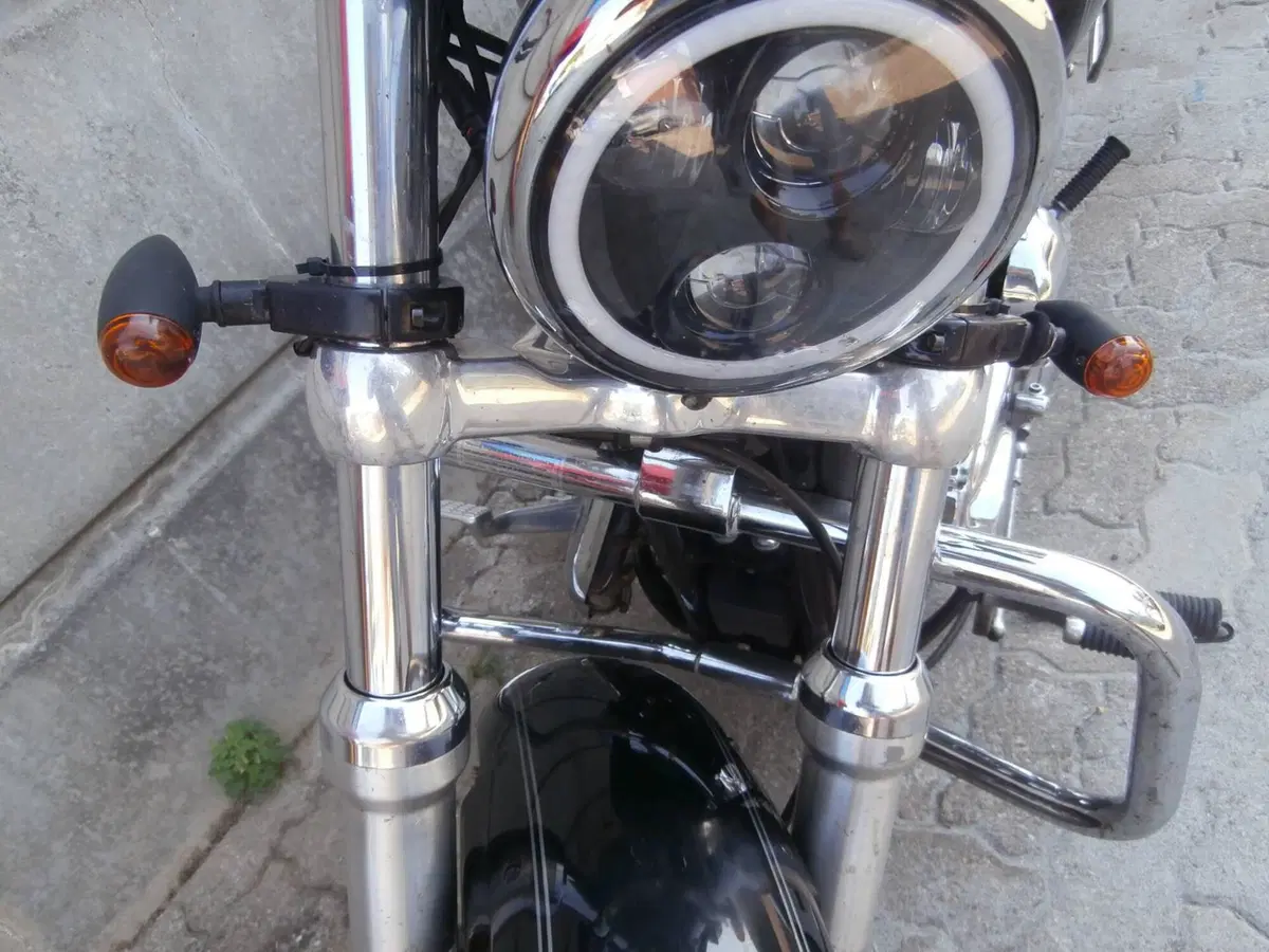 Harley-Davidson 1200 Custom (2007 - 13) - XL 1200C (12)