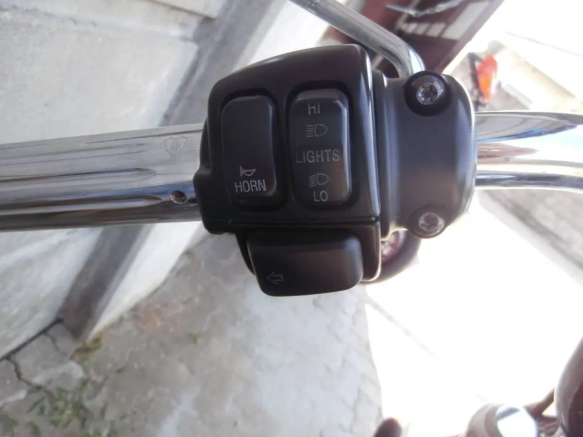 Harley-Davidson 1200 Custom (2007 - 13) - XL 1200C (17)