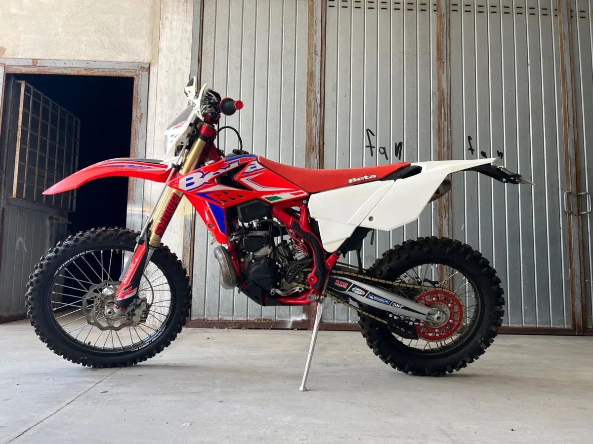 Betamotor RR 300 2T Enduro (2013) (6)