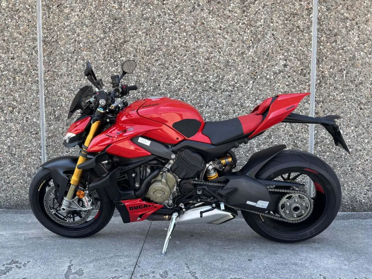 Ducati Streetfighter V4 S (2023 - 24) (2)