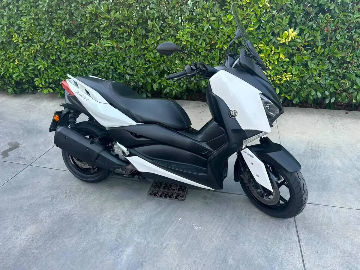 Yamaha X-Max 300 ABS (2017 - 20) (4)