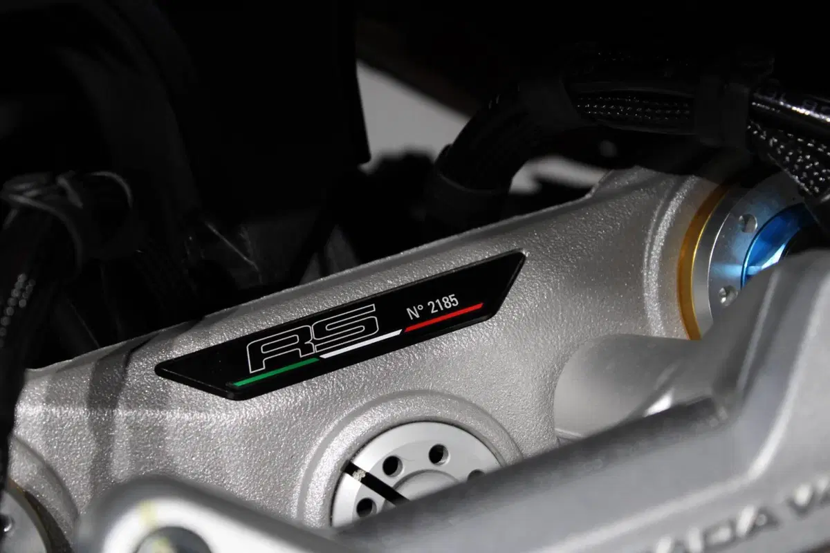 Ducati Multistrada V4 RS (2024 - 25) (7)