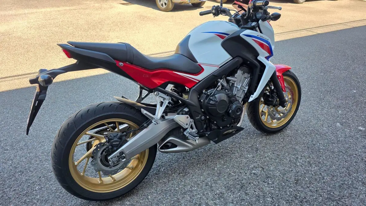 Honda CB 650 F ABS (2014 - 17) (3)