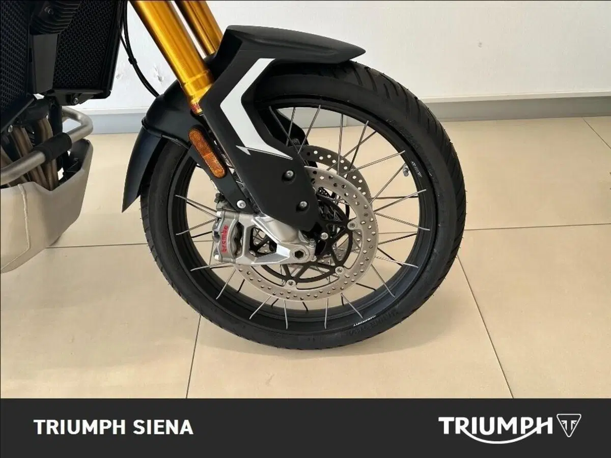 Triumph Tiger 900 Rally Pro (2024 - 26) (3)