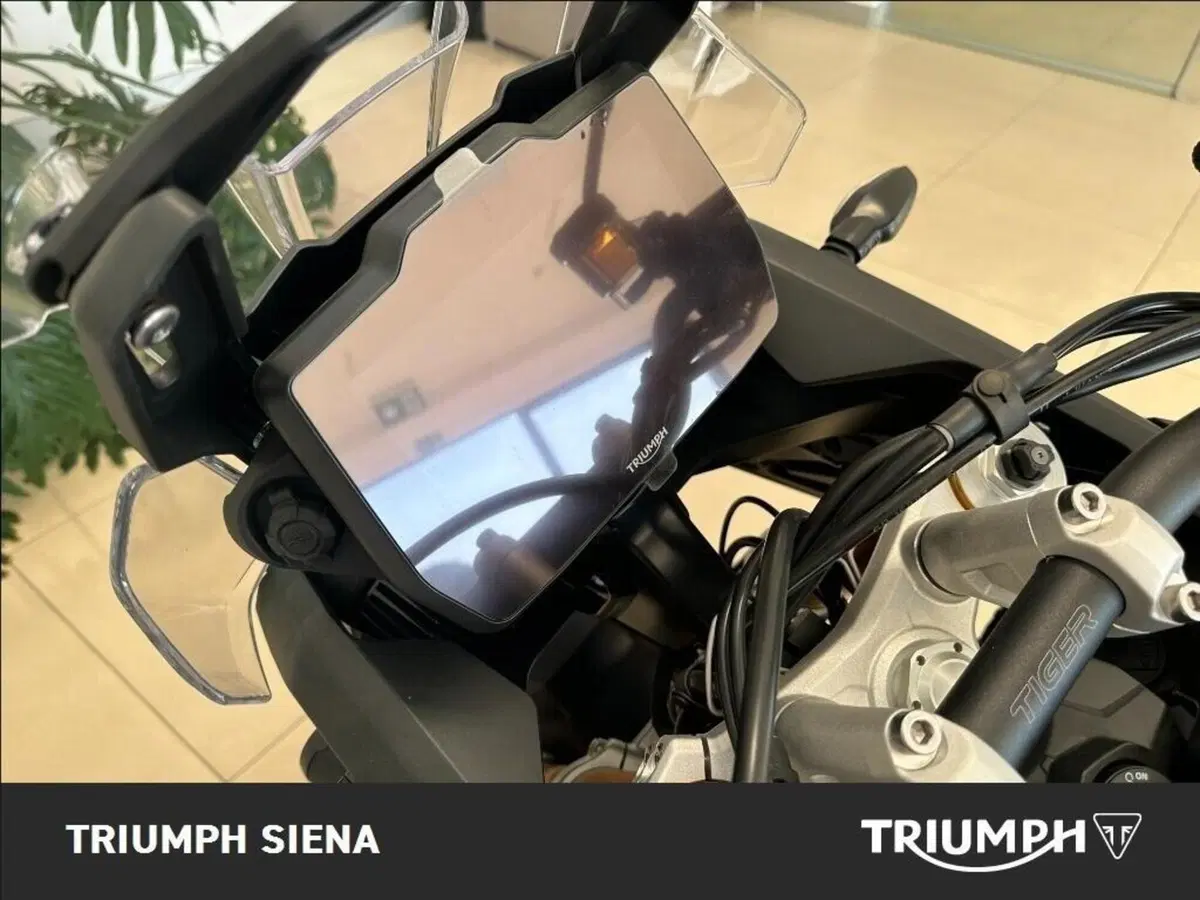 Triumph Tiger 900 Rally Pro (2024 - 26) (7)