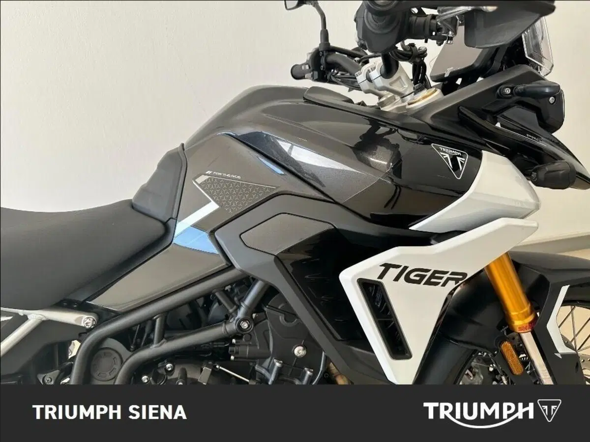 Triumph Tiger 900 Rally Pro (2024 - 26) (5)