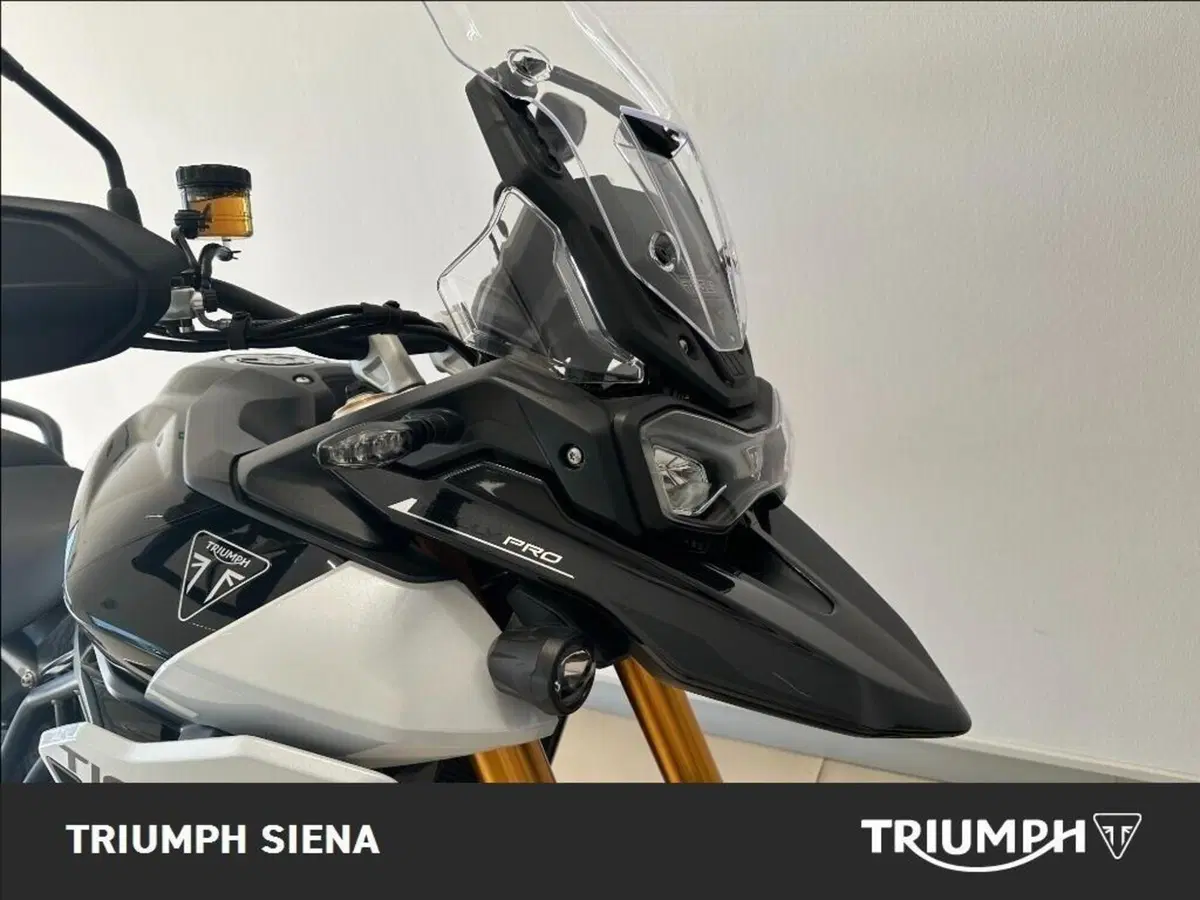 Triumph Tiger 900 Rally Pro (2024 - 26) (4)