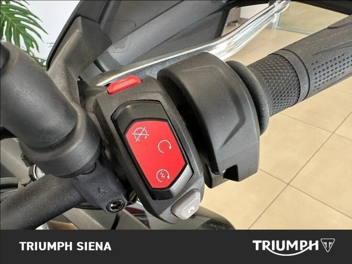 Triumph Tiger 900 Rally Pro (2024 - 26) (8)