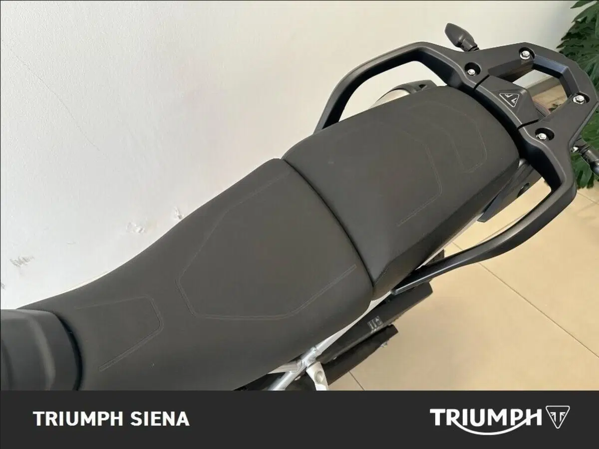 Triumph Tiger 900 Rally Pro (2024 - 26) (10)