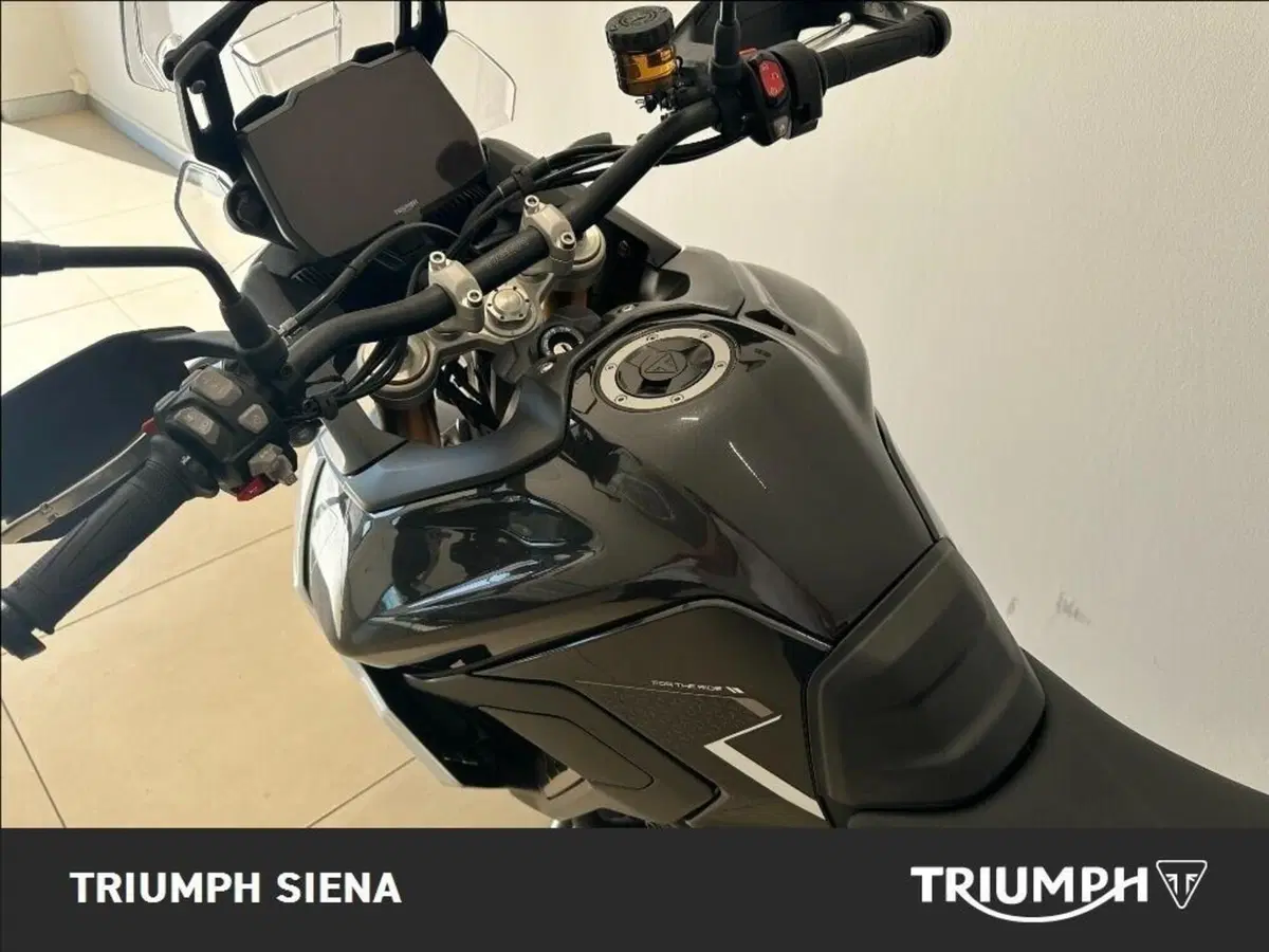 Triumph Tiger 900 Rally Pro (2024 - 26) (11)