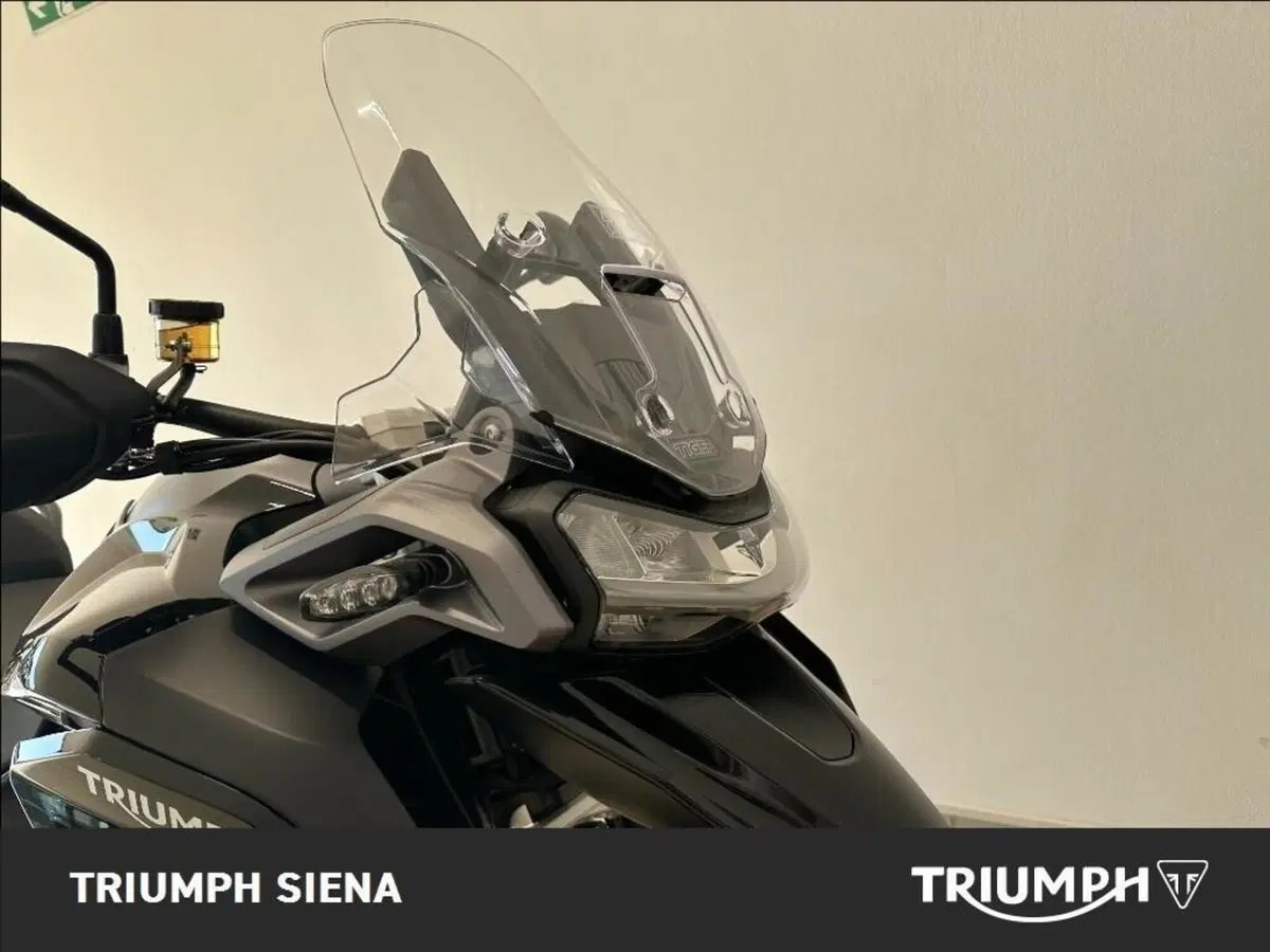 Triumph Tiger 1200 GT Pro (2024 - 26) (4)