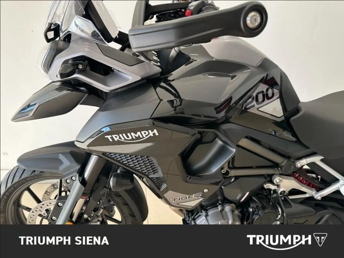 Triumph Tiger 1200 GT Pro (2024 - 26) (13)