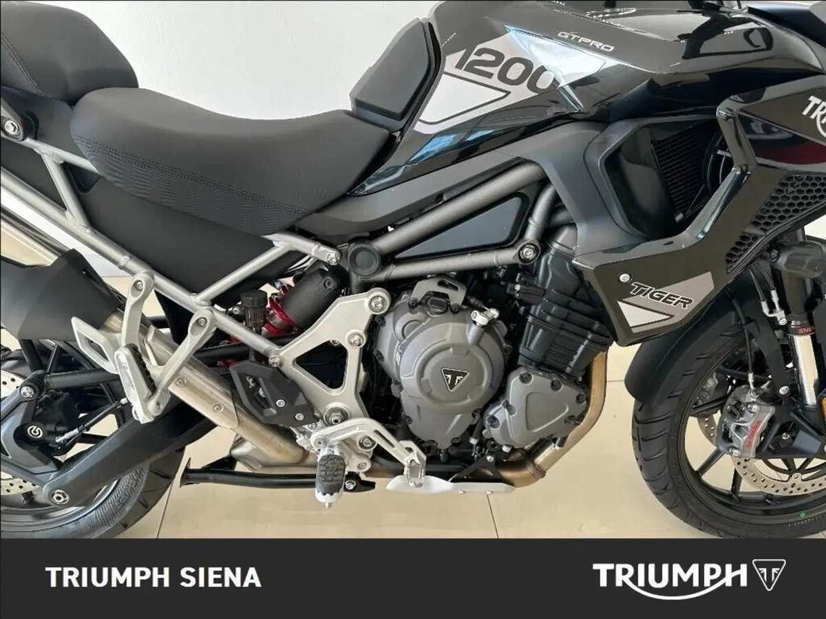 Triumph Tiger 1200 GT Pro (2024 - 26) (7)