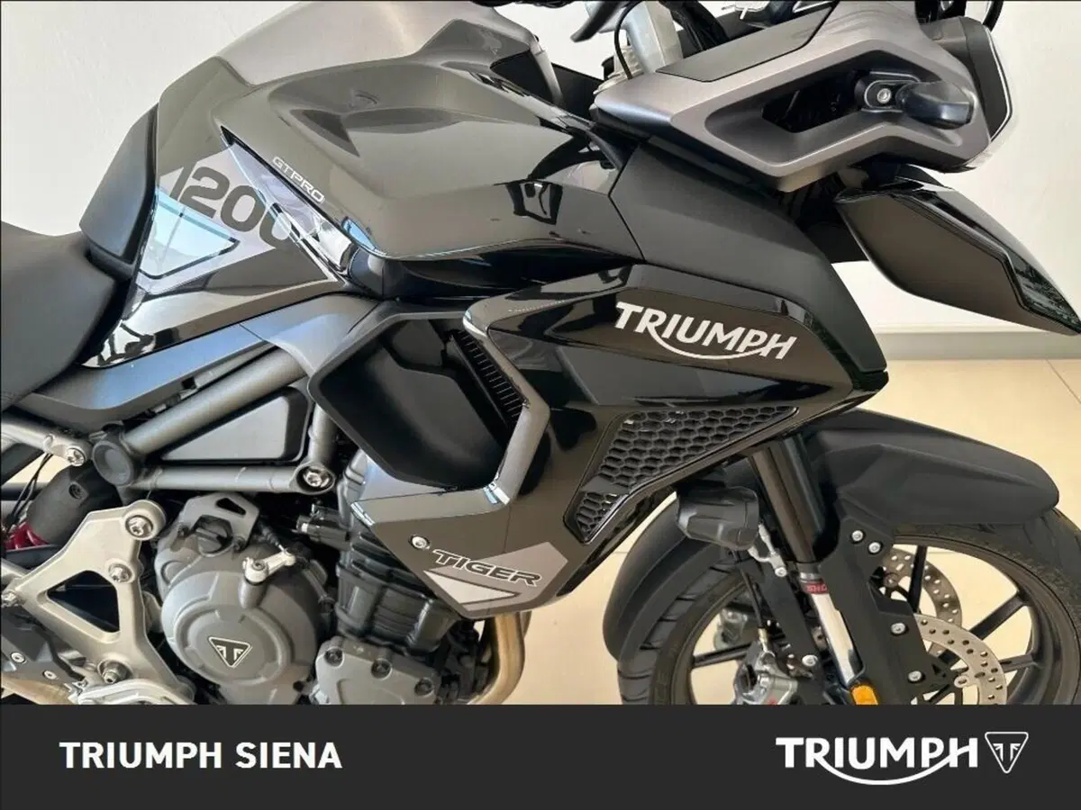 Triumph Tiger 1200 GT Pro (2024 - 26) (5)