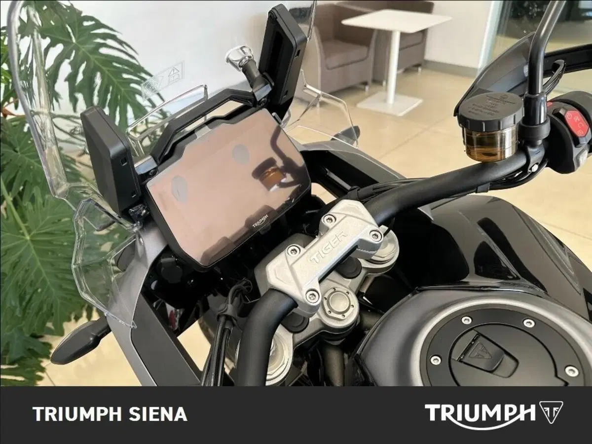 Triumph Tiger 1200 GT Pro (2024 - 26) (10)