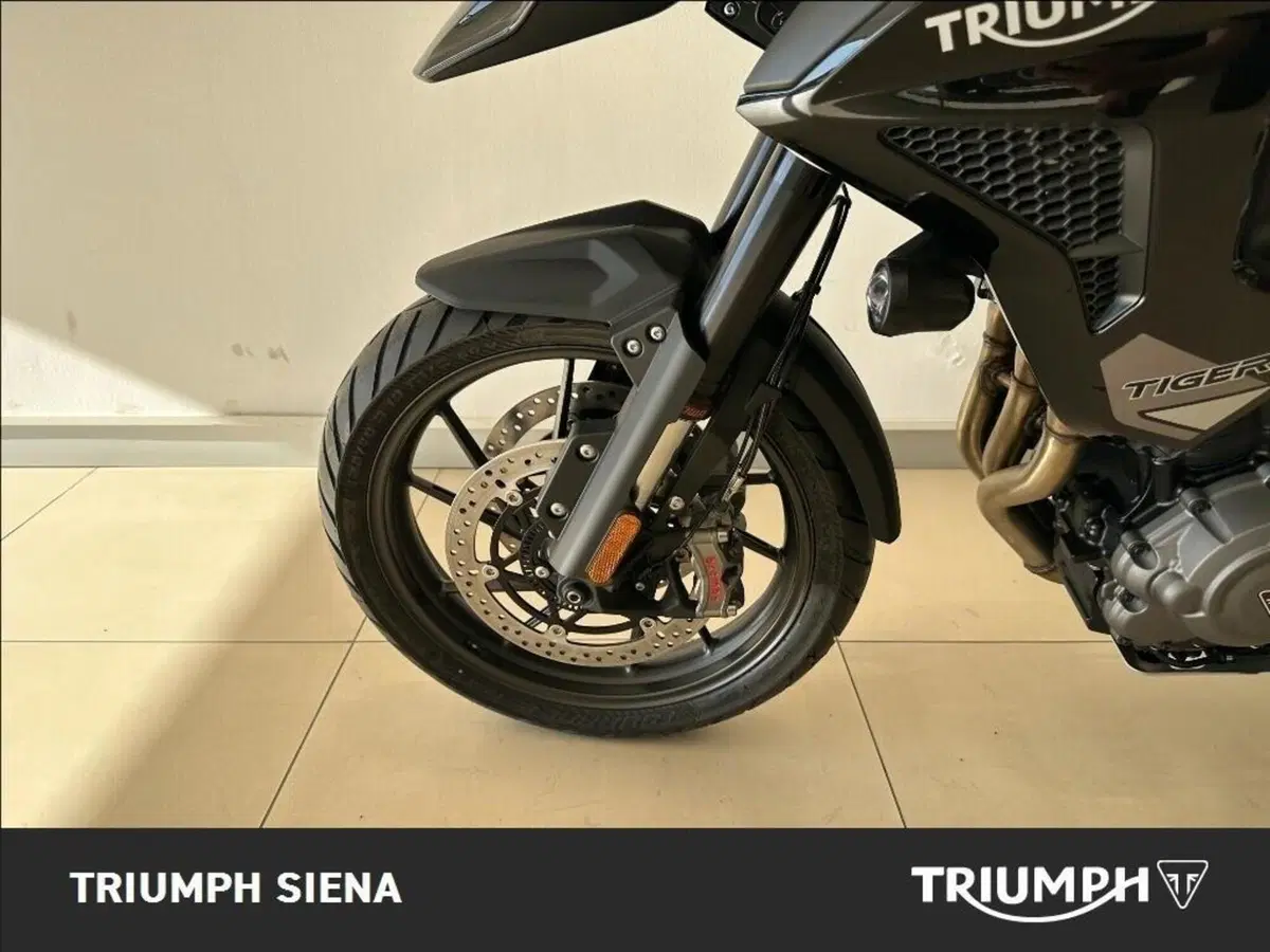Triumph Tiger 1200 GT Pro (2024 - 26) (14)