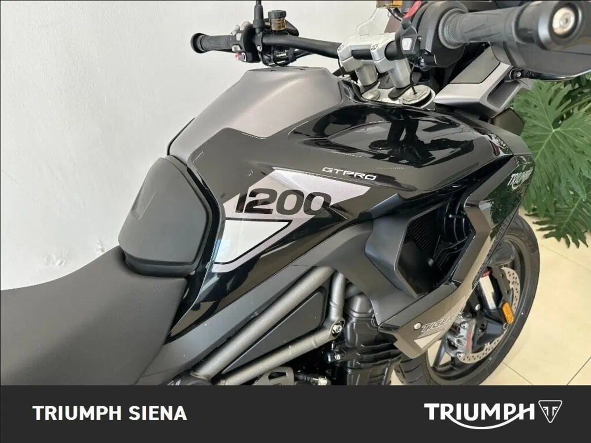 Triumph Tiger 1200 GT Pro (2024 - 26) (6)