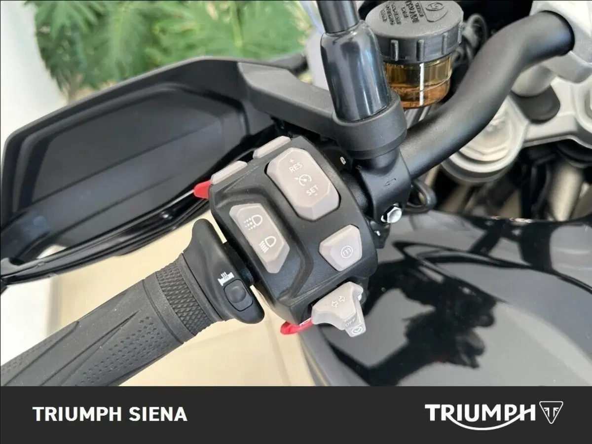 Triumph Tiger 1200 GT Pro (2024 - 26) (11)