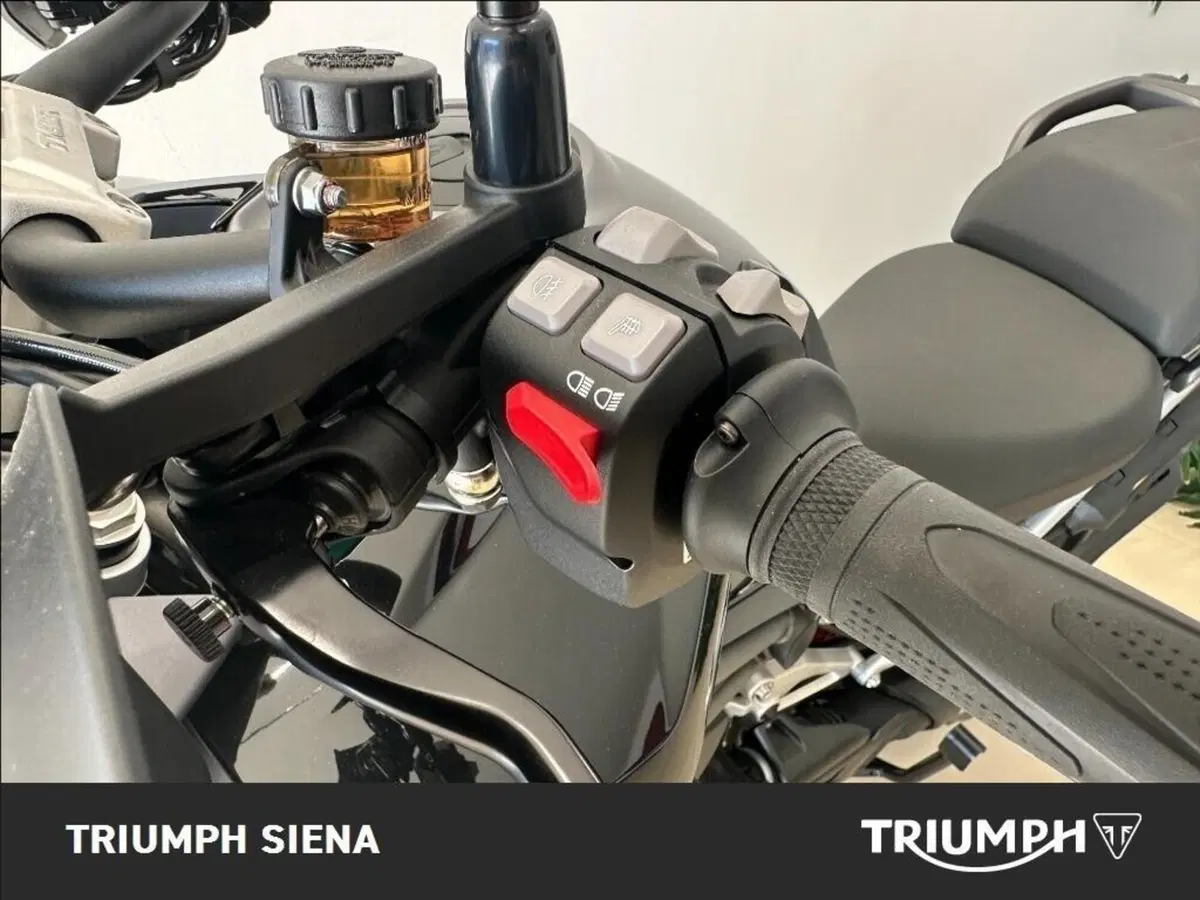 Triumph Tiger 1200 GT Pro (2024 - 26) (15)