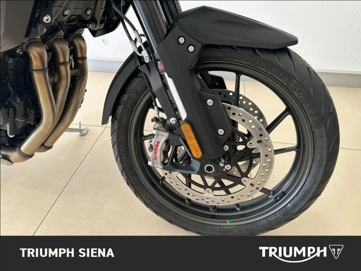 Triumph Tiger 1200 GT Pro (2024 - 26) (3)