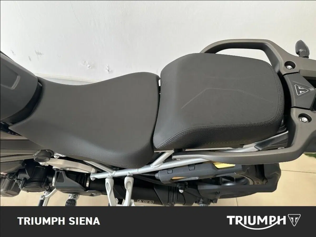 Triumph Tiger 1200 GT Pro (2024 - 26) (16)