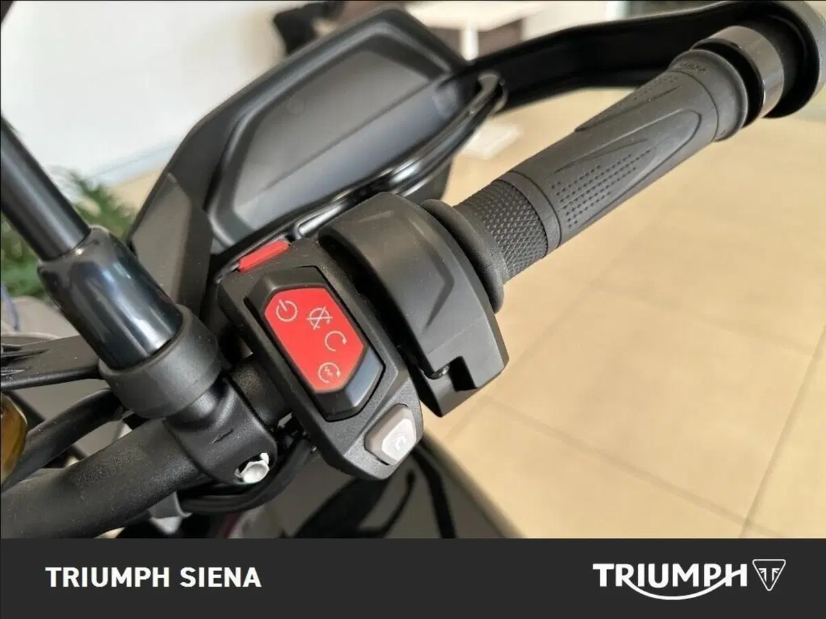 Triumph Tiger 1200 GT Pro (2024 - 26) (12)