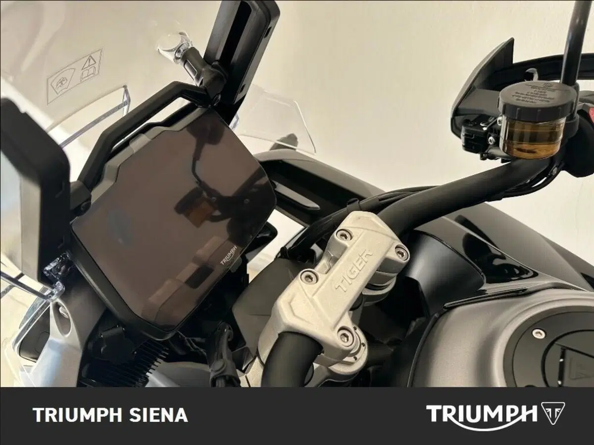 Triumph Tiger 1200 GT Pro (2024 - 26) (18)