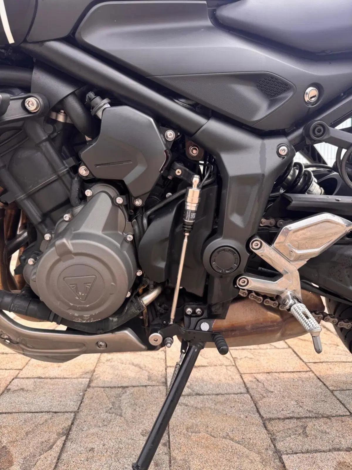 Triumph Trident 660 (2021 - 24) (9)