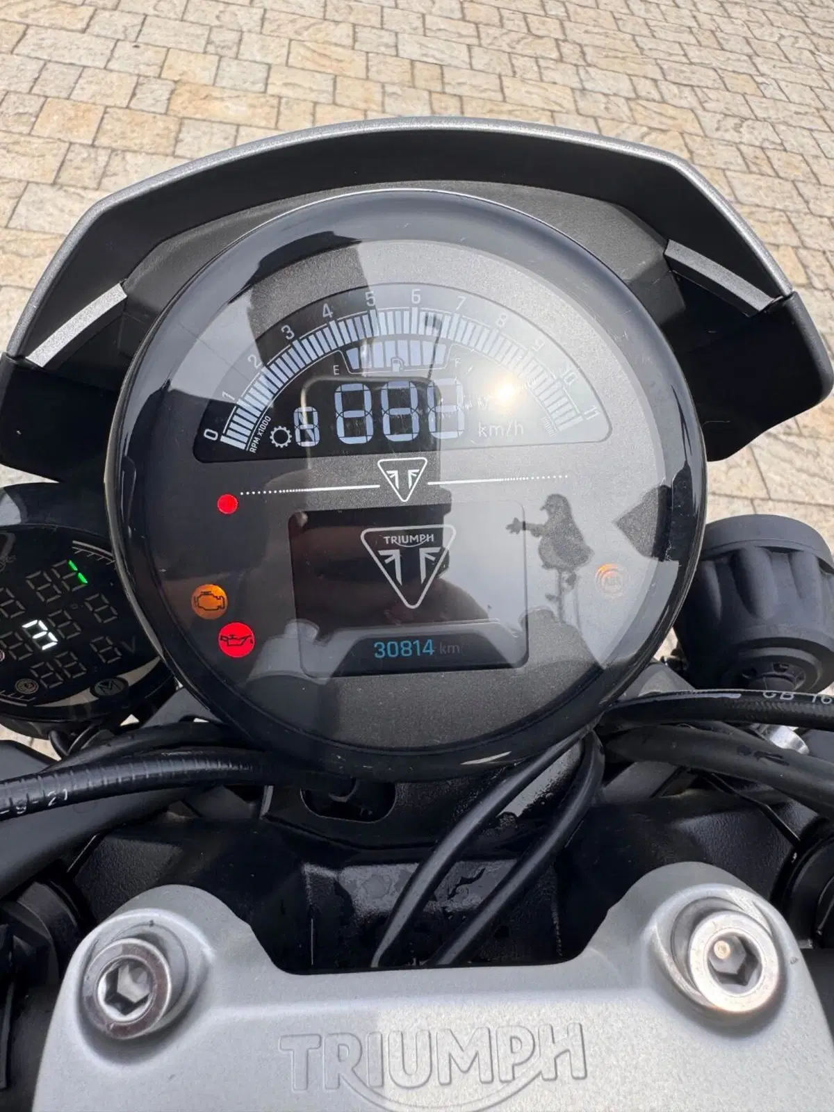 Triumph Trident 660 (2021 - 24) (11)