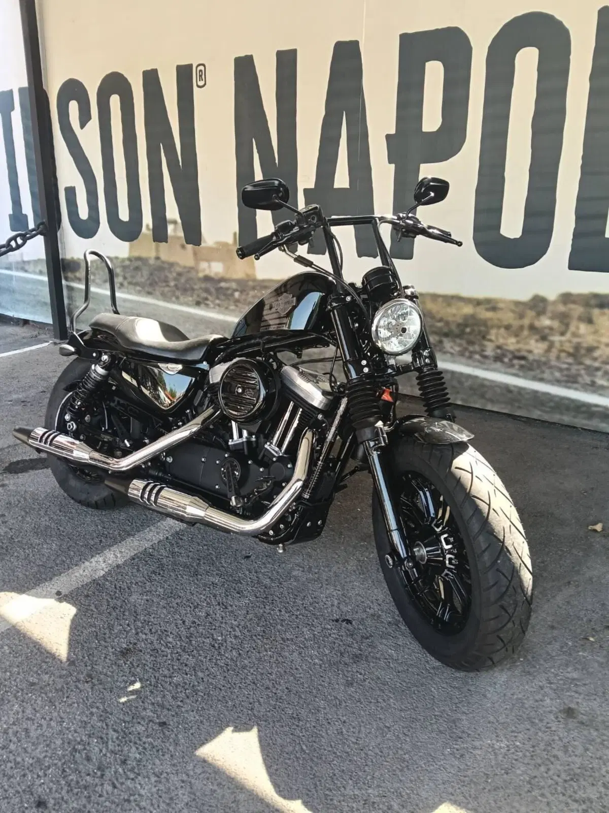 Harley-Davidson 1200 Forty-Eight (2016 - 20) (2)
