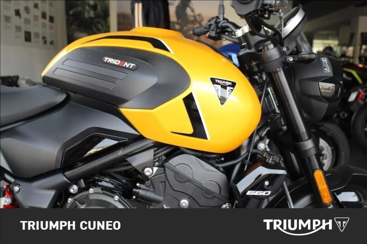 Triumph Trident 660 (2026) (3)