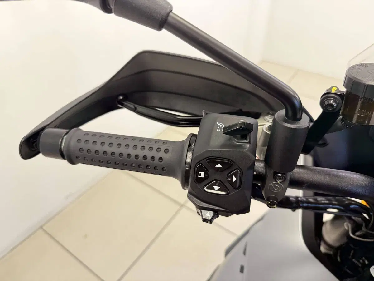 Moto Guzzi Stelvio (2024 - 26) (10)