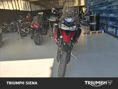 Triumph Tiger 1200 GT Pro (2024 - 26) usata