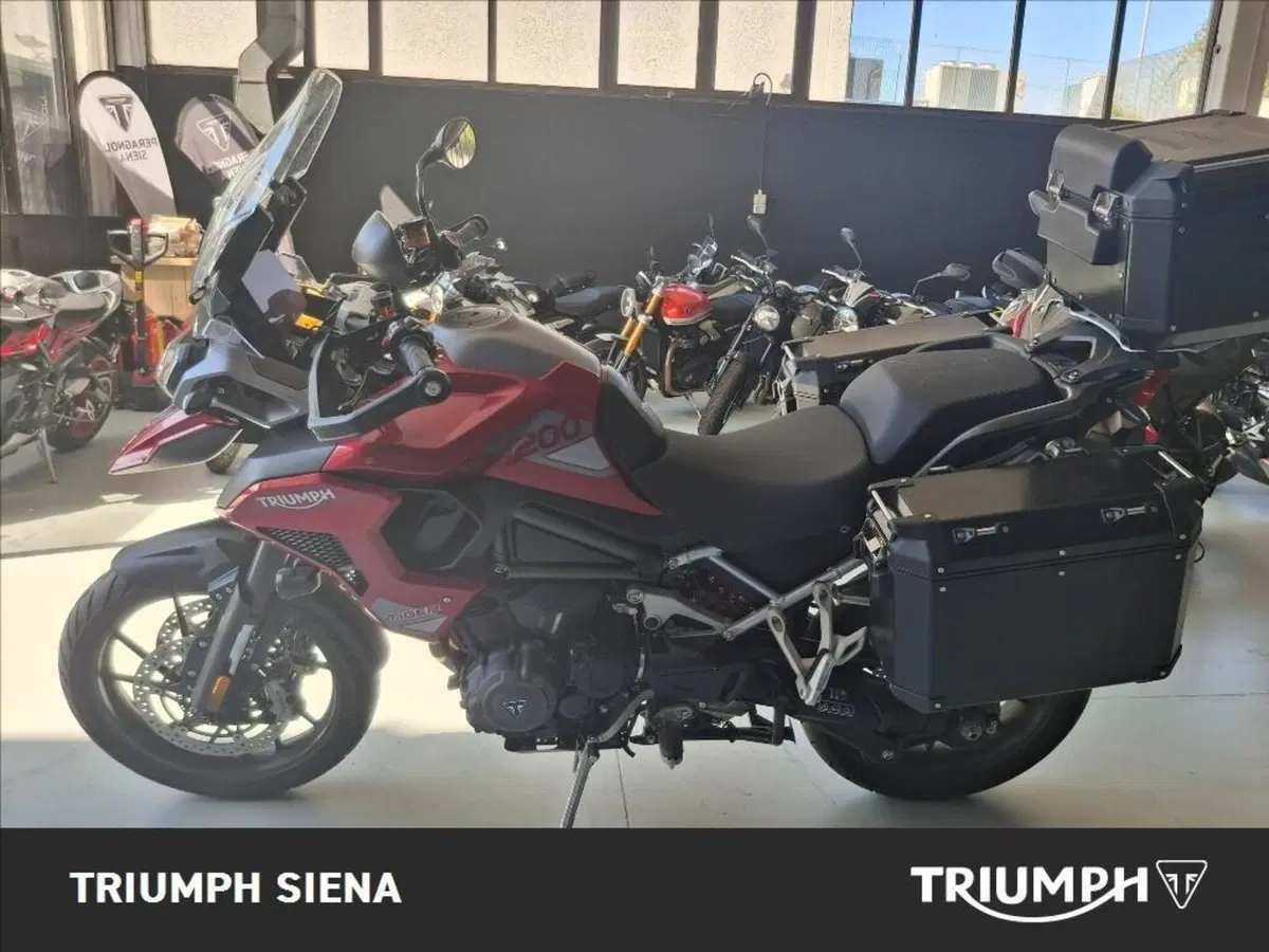 Triumph Tiger 1200 GT Pro (2024 - 26) (2)