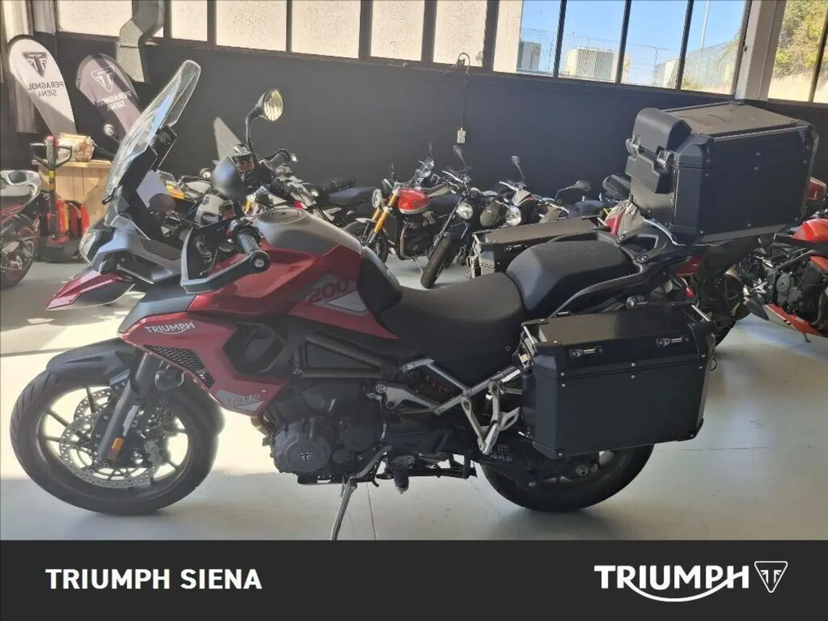 Triumph Tiger 1200 GT Pro (2024 - 26) (3)