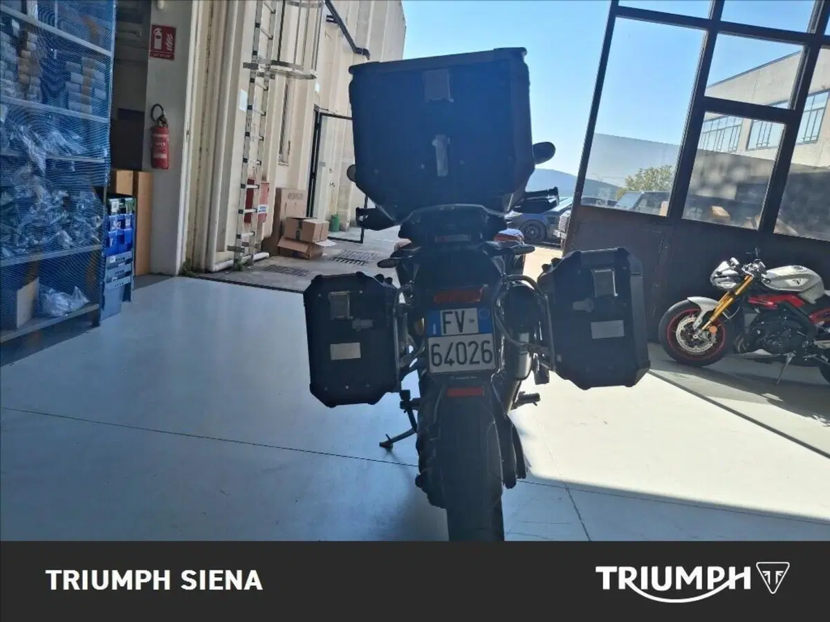 Triumph Tiger 1200 GT Pro (2024 - 26) (4)