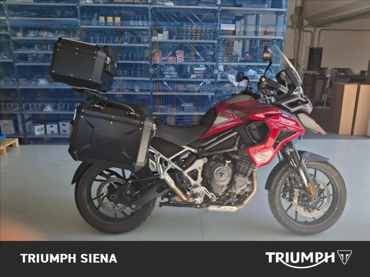 Triumph Tiger 1200 GT Pro (2024 - 26) (5)