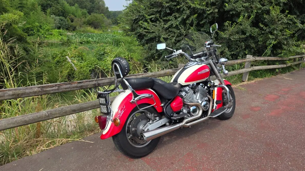Yamaha XVZ 1300 TF Royal Star Venture (2000 - 02) (3)