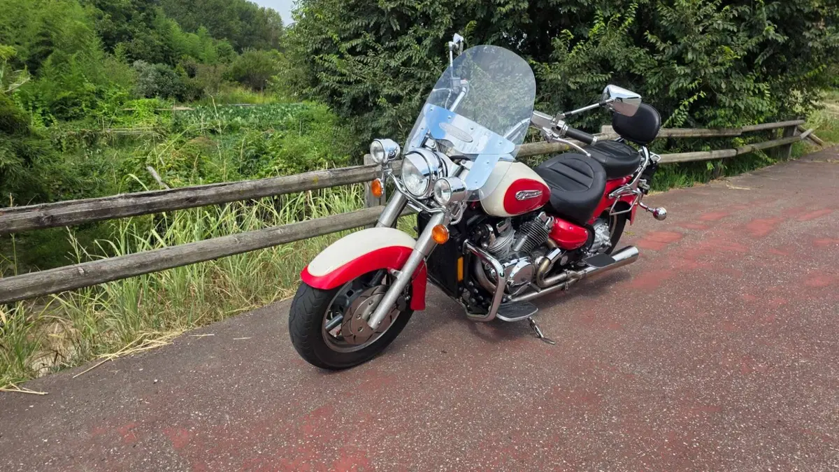 Yamaha XVZ 1300 TF Royal Star Venture (2000 - 02) (7)