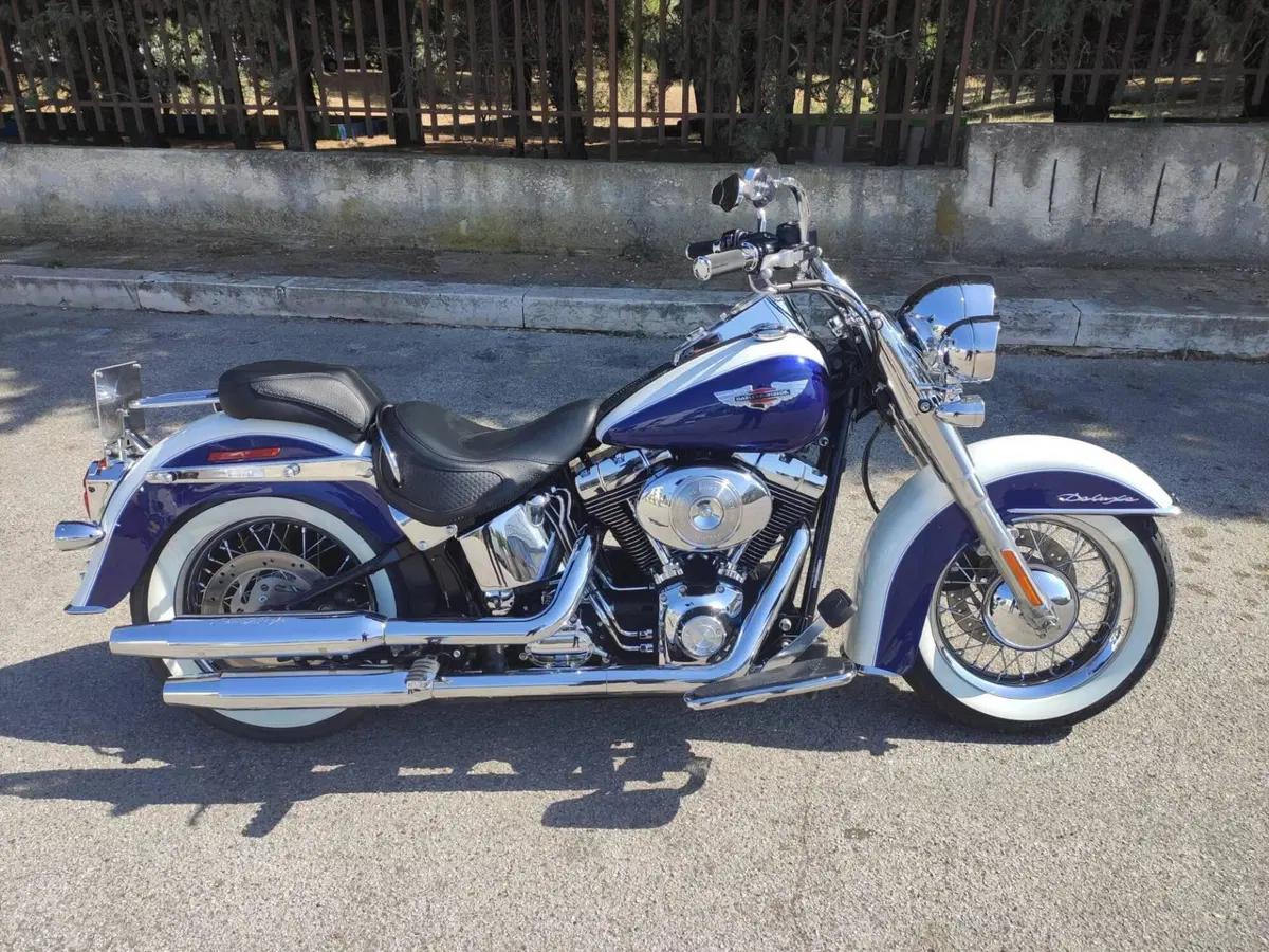 Harley-Davidson 1450 Deluxe (2005 - 06) - FLSTNI