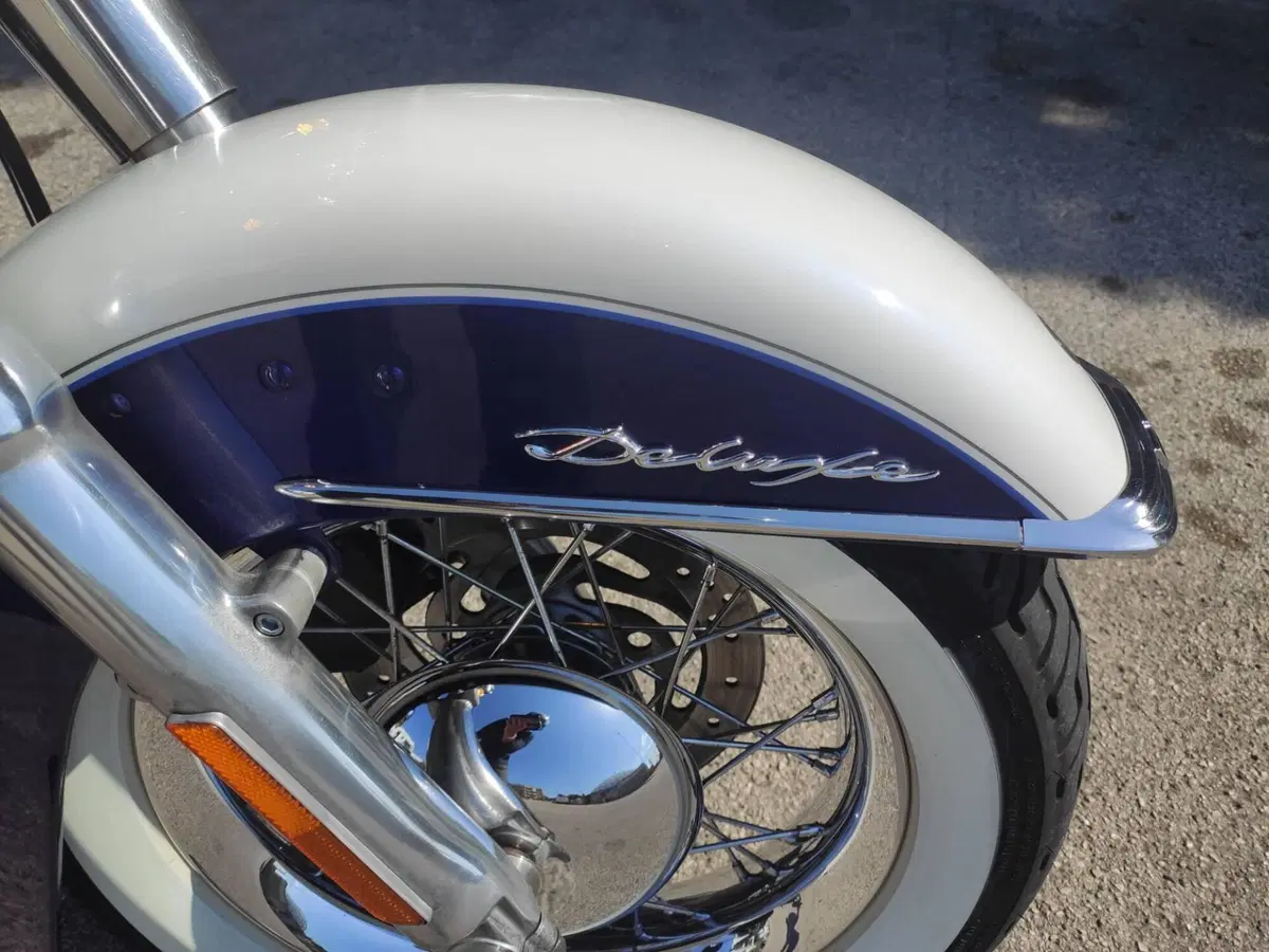 Harley-Davidson 1450 Deluxe (2005 - 06) - FLSTNI (11)