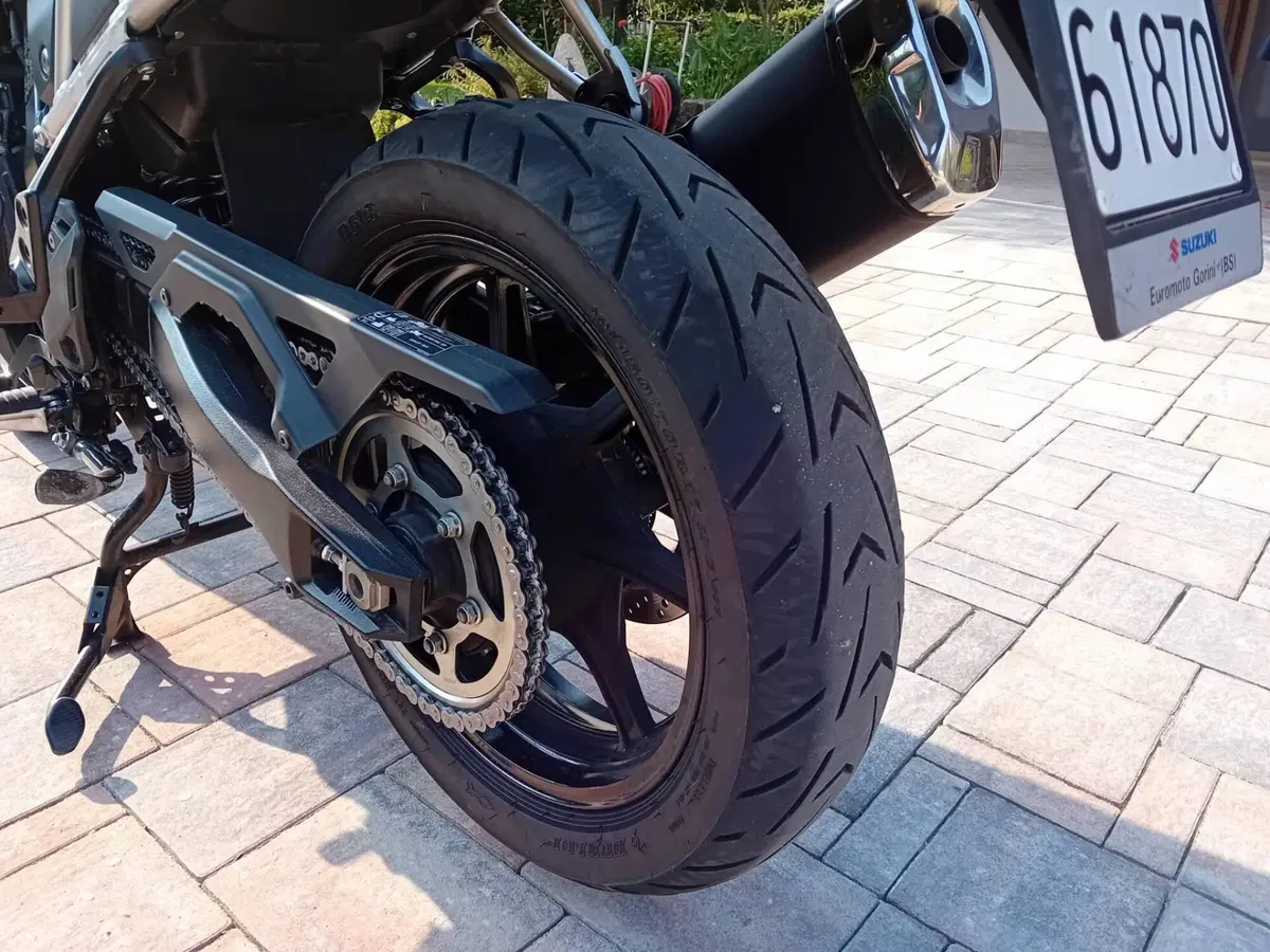 Suzuki V-Strom 800SE (2023 - 24) (6)